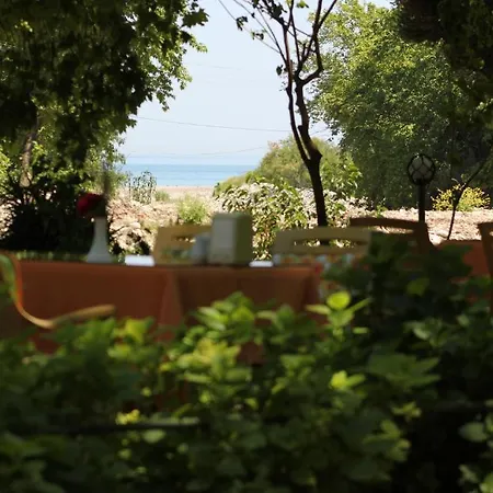 Garden Pensiune 2*